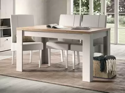 Table de repas extensible